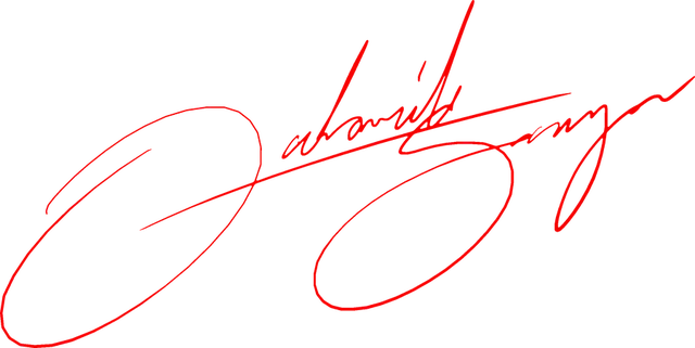Gabriel Souza signature